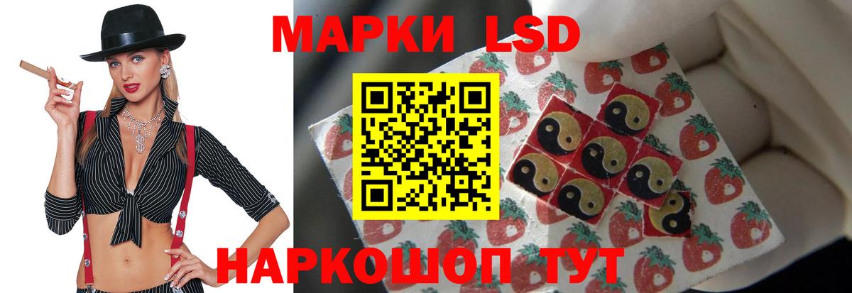 Бошки Шишки  Круглые  Кызыл  СОЛЬ CK  Гарик  Мяу-Мяу  Кокаин  МЕФ  Вход с VPN 