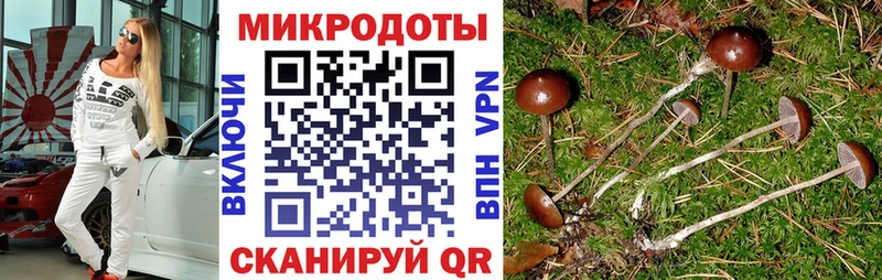 Псилоцибиновые грибы Cubensis  Кызыл 