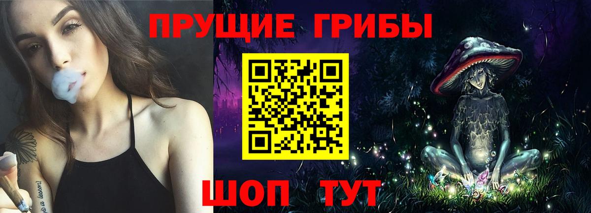 Псилоцибиновые грибы мухоморы  хочу наркоту  Кызыл  Вход с VPN  Псилоцибиновые грибы Cubensis 