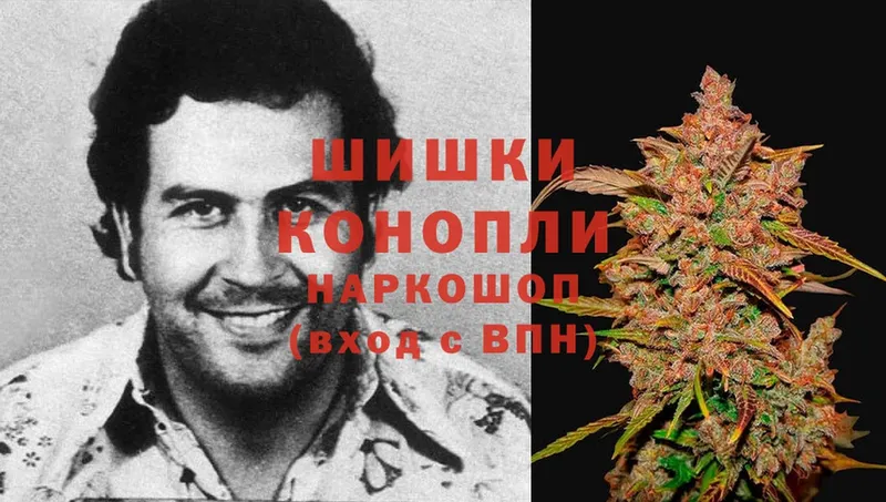 купить наркотики сайты  Кызыл  Каннабис OG Kush 